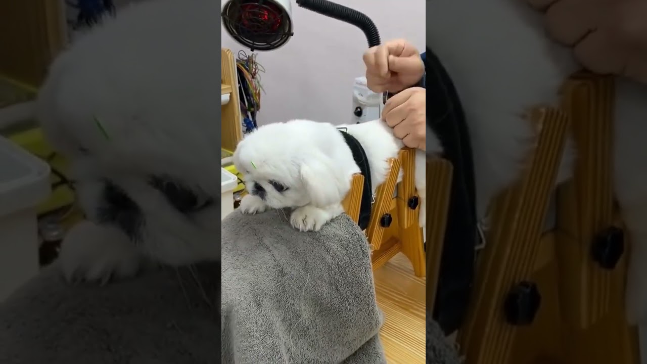 Relaxing into the Treatment