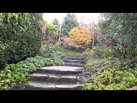 Nelson Rangell - Saxophone from the Garden of the World ♥ ♪♫♫• Smooth Jazz •♫♫♪ ♥