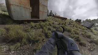stalker  gamma