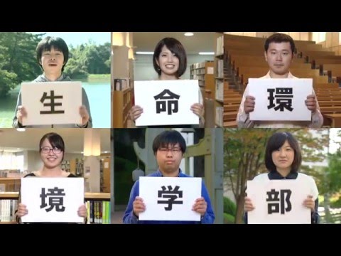 保健福祉学科 県立広島大学生命環境学部の紹介