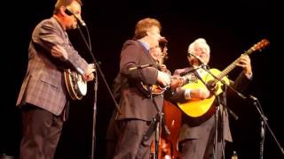 Del McCoury Band / I Need More Time