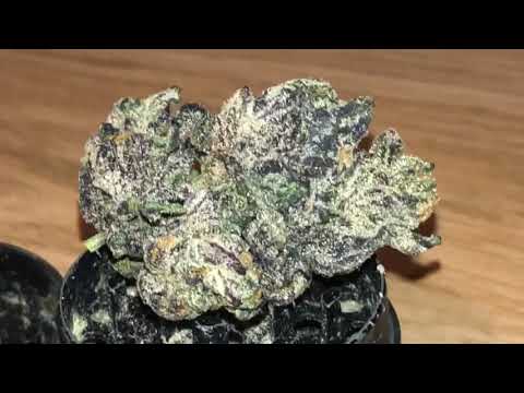 Purp hotbox - Tokin Tuesday ep.60!