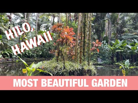 Hawaii Tropical Botanical Garden, Hilo 4K Beautiful Flowers, Waterfalls, Ocean, Koi Pond