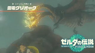 俺が作った魔道兵をこのドラゴンは咆哮一つで、、、、【＃２５】【ゼルダの伝説 ティアーズ オブ ザ キングダム】
