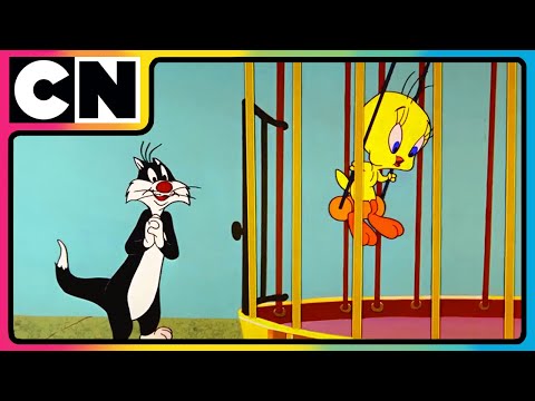 Looney Tunes🐰| Non-stop Fun 🤩| The Wacky World of Looney Tunes! 🐰 | 90s Cartoons | 90s | @cnindia