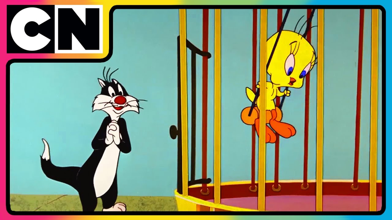 Looney Tunes🐰| Non-stop Fun 🤩| The Wacky World of Looney Tunes! 🐰 | 90s Cartoons | 90s | @cnindia