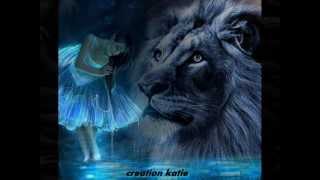 johnny hallyday -  Essayer