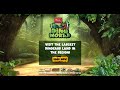 85 Dinosaurs Wild Rides Fun Don T Miss Dino World At IMG Worlds