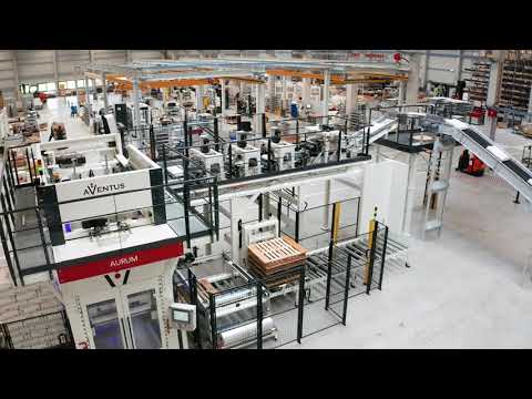 AURUM bag palletizer & TOPAS SF packing machine