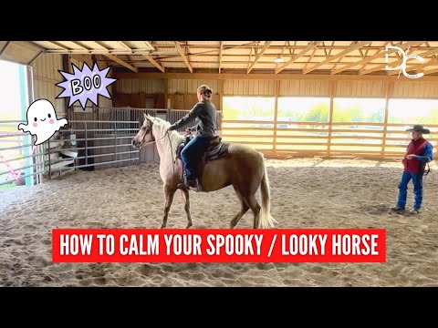 D/C How To Calm A Spooky or 'Looky' Horse