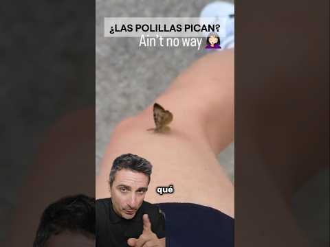 ¿Las polillas pican?.#curiosidades ##sabiasque #supervivencia