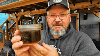 From Tree to Table: Crafting Birch Syrup in Newfoundland