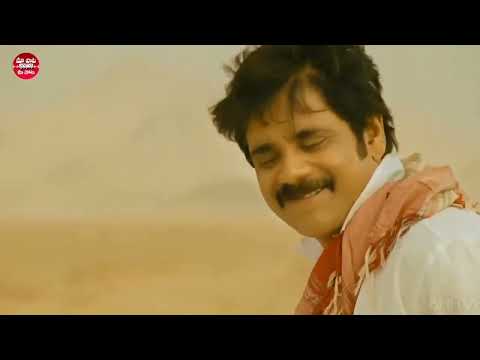 HAPPY BIRTHDAY NAGARJUNA | AKKINENI NAGARJUNA TURNS 65 #shorts #youtubeshorts #nagarjuna