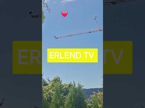 ❤️ Gute Nachbarn ❤️ #weltfrieden #putin #trump #afd #söder #bayern #freyung #frg #erlend #moskov