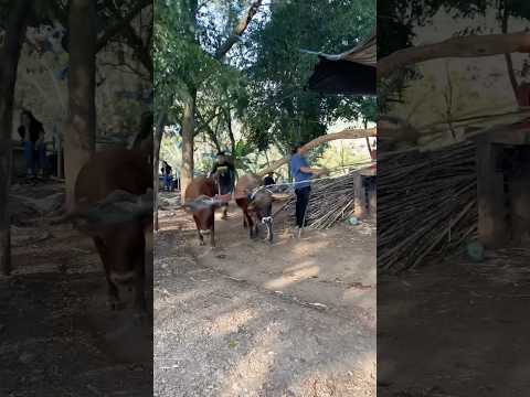 Corinto morazan norte El Salvador #corinto #morazan #elsalvador