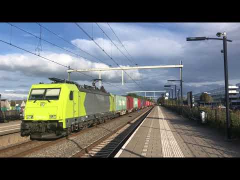 Treinen kijken op Tilburg universiteit, Reeshof en bij het bekende spottersplekje. 21-09-2025.