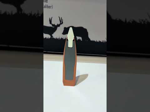 Deer Hunting With Nosler Whitetail Country Ammo