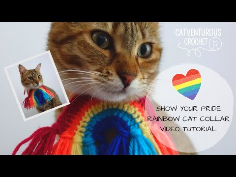 Show Your Pride Rainbow Cat Collar - Catventurous Crochet