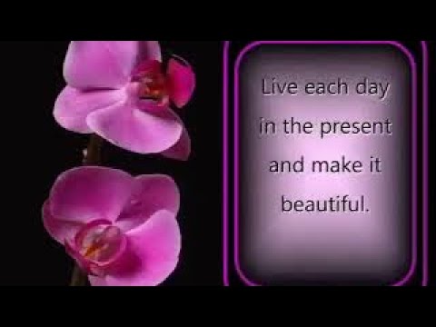 The right words + 'When a Man Loves a Woman' by  Floyd Cramer