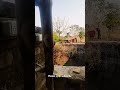 Mera Bagicha Shorts