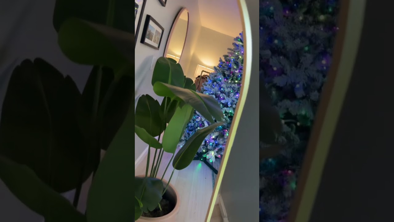 The most beautiful full length gold arched mirror.