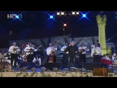 Vlado Bašić i T.S. Evergreen - ŠKRIPE KAPIJE - Požega 2010.