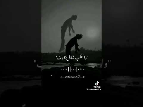 محطوط والقلب شايل بيموت