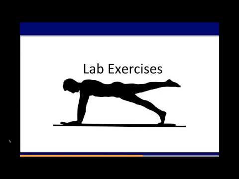 IEE 475: Lab 5, Part 3 - Lab Exercise Instructions