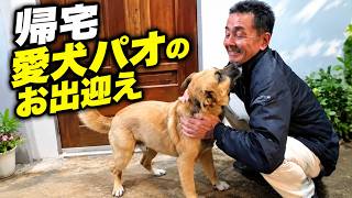 18日ぶりの帰宅 日本での仕事終了 フィリピンの我が家