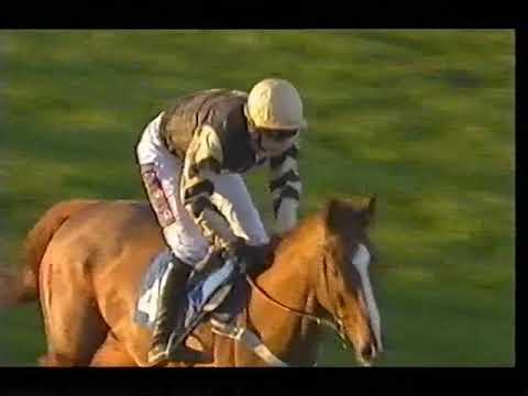 2006 One Man Novice Chase