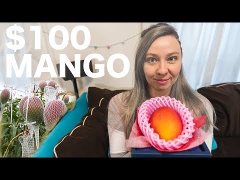 100ドルの日本のマンゴーってどんな味？ (What Does a $100 Japanese Mango Taste Like?)