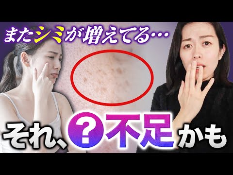 アリに対する家庭療法:本当に効果があるものは何でしょうか? トピックス