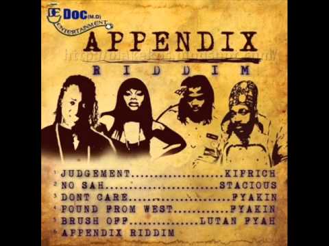 APPENDIX RIDDIM MIXX BY DJ-M.o.M KIPRICH, FYAKIN, LUTAN FYAH & STACIOUS