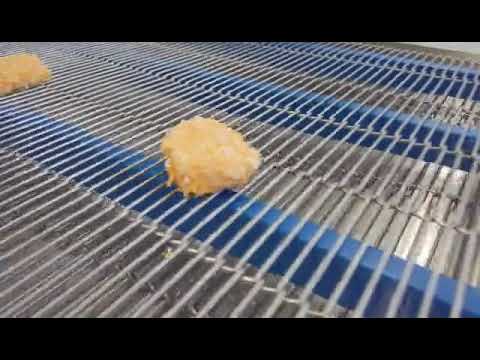 PACIFIC 600mm Panko Crumbing Machine video thumbnail