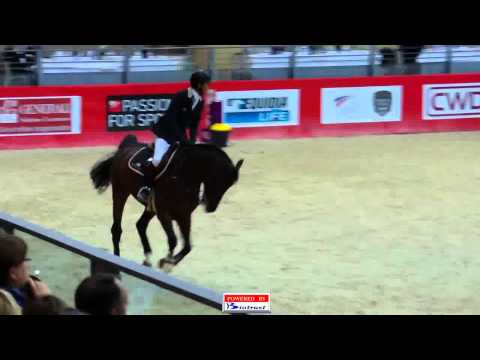 Philippe Rozier - Dakar C (Equita Lyon 2012) CSI 5* Rolex FEI World Cup Jumping