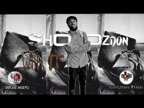 Shoozdon - Wull It (Official Audio)