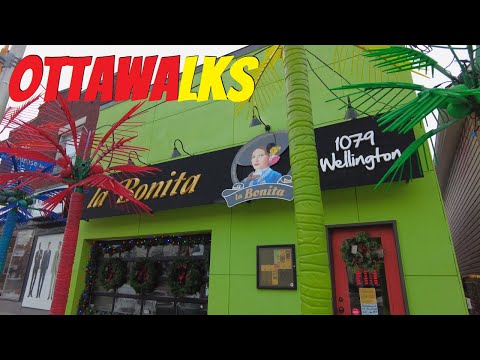 Winter walk through Hintonburg Wellington Village & Westboro - West Ottawa Walking Tour