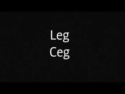 How to say leg in Hmong ceg