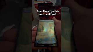 Can’t wait to get some free time, build a deck and play! #magicthegatheringcommunity #magictcgdeck
