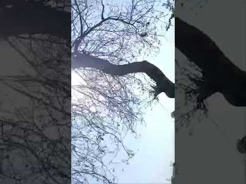 Highlight 11:04 – 16:03 from I'm done 💯