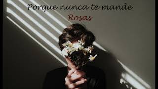 I Should have Sent Roses - Elton John/Leon Russell// Letra Español