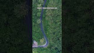 Download lagu Pamarican - Ciamis kisah sejarahnya #shorts mp3