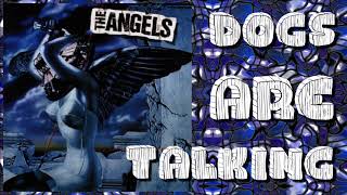 The Angels - Dogs are Talking