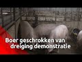 Boer Gerbert Oosterlaken vertelt over de dreigende acties van dierenactivisten bij zijn veehouder...
