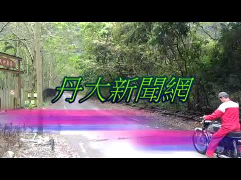 [丹大新聞網] HONDA CB-450T