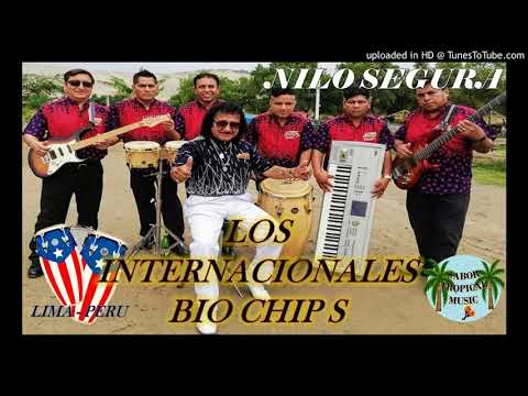 BRINDO POR TU AMOR : INT..BIO CHIP S DE NILO SEGURA