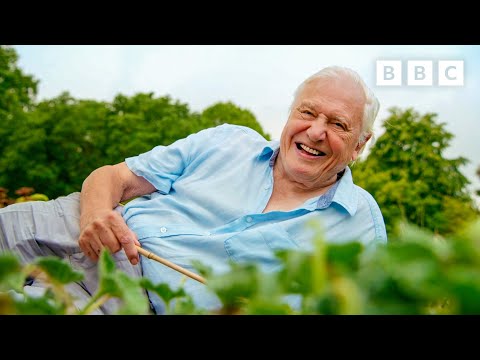 EXPLODING seed pods make Sir David Attenborough laugh 💥😂 The Green Planet 🌱 BBC