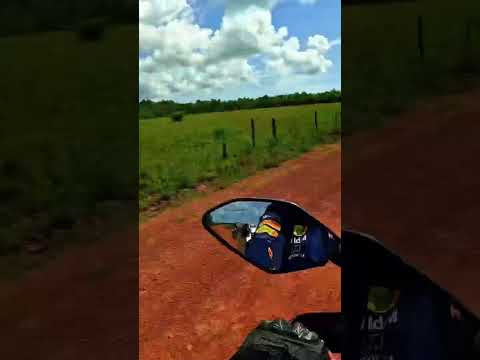 Ramal do Goiabal em Calçoene-AP #aventura #automobile #cavaleirodeaco #2rodas #amapá