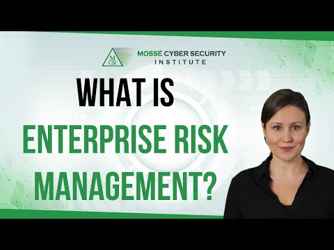 What is Enterprise Risk Management?
