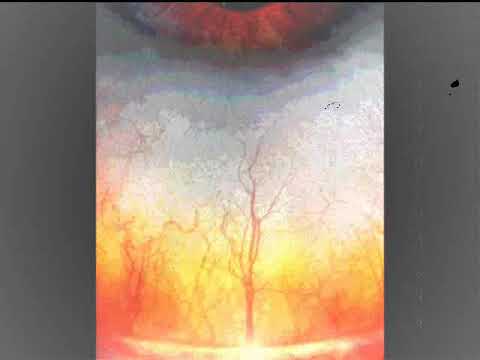 Tarma Haguen Podcast 028 - Deep House